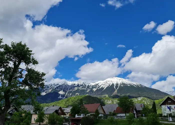 Osvald Casa de hóspedes Zirovnica